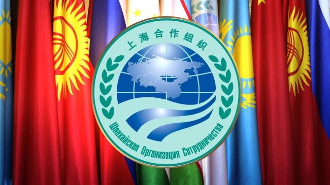 РСМ проведёт молодежный бизнес-инкубатор на пространстве государств-членов ШОС